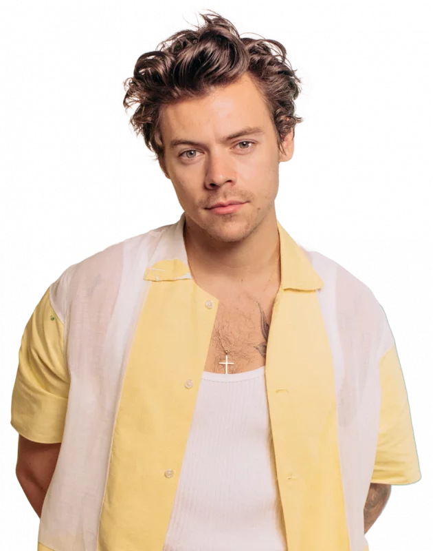 Harry Styles