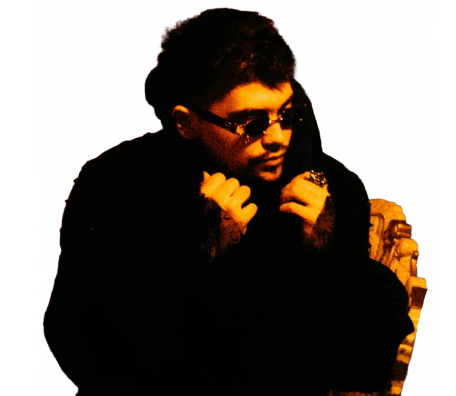 RVMZES