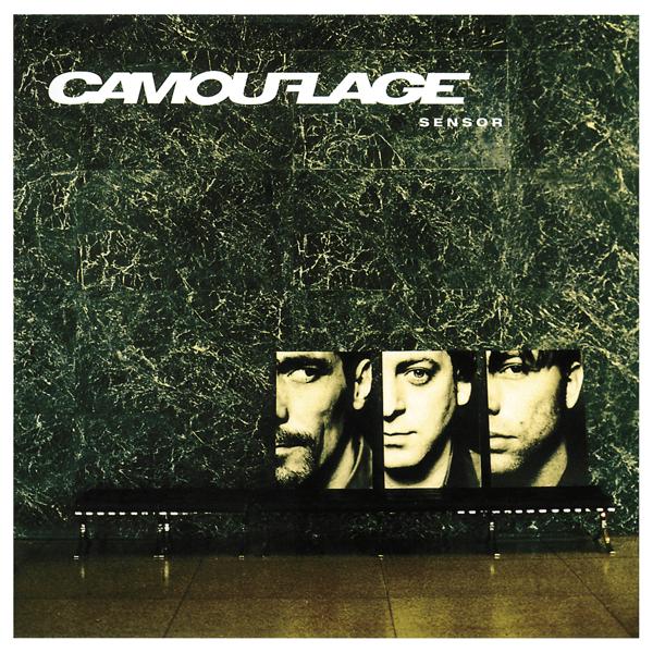 Camouflage - Perfect