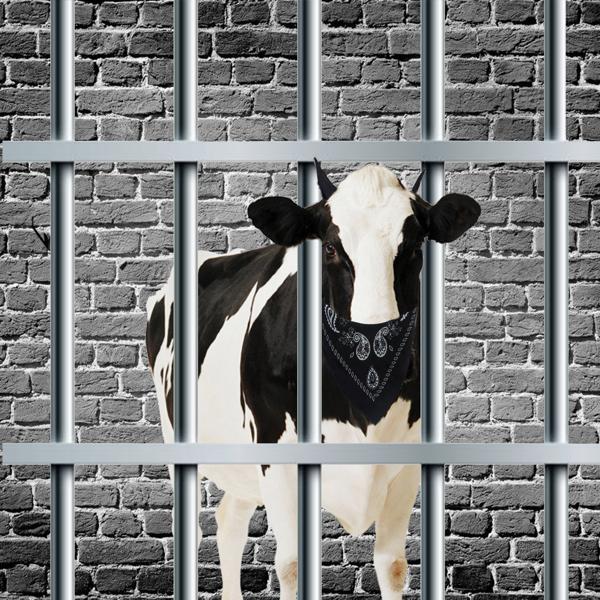 Дисперсия все песни в mp3