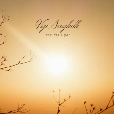 Vígi Seaghdh все песни в mp3