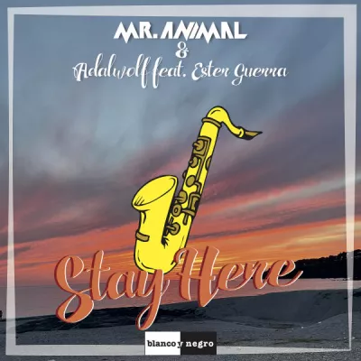 Mr.Animal