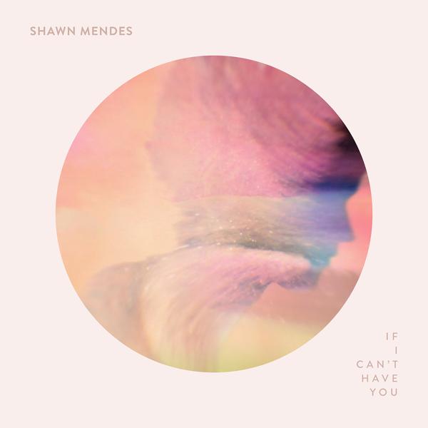 Shawn Mendes - If I Can't Have You