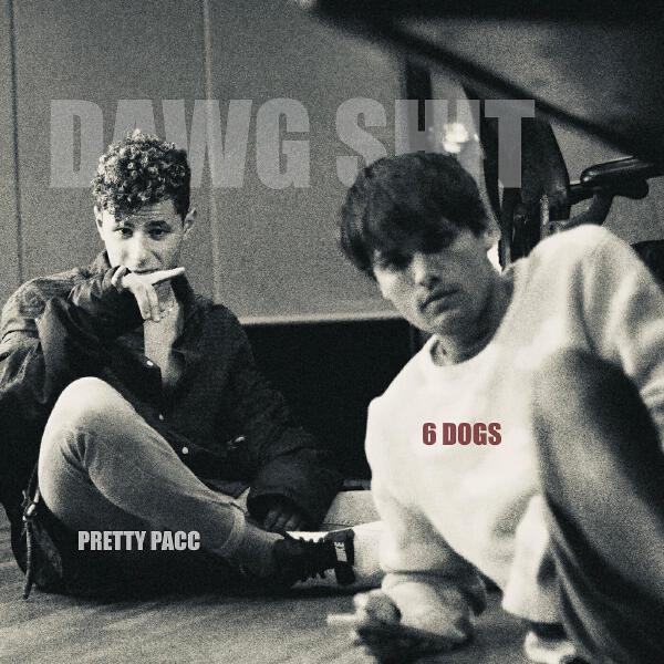 6 Dogs