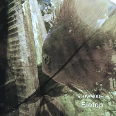Slowmode все песни в mp3