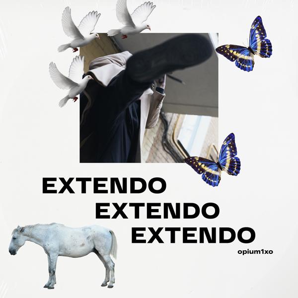 Extendo