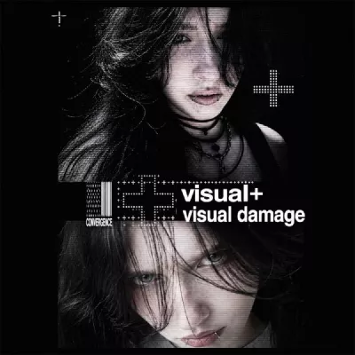 visual damage
