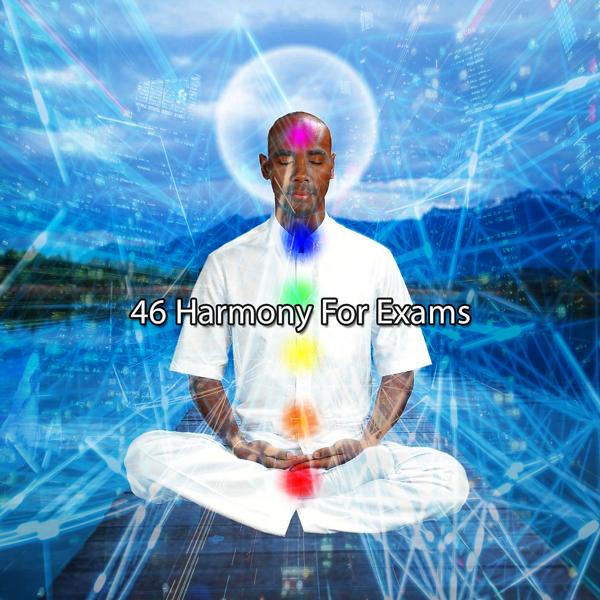 Альбом 46 Гармония для экзаменов исполнителя Музыка для чтения