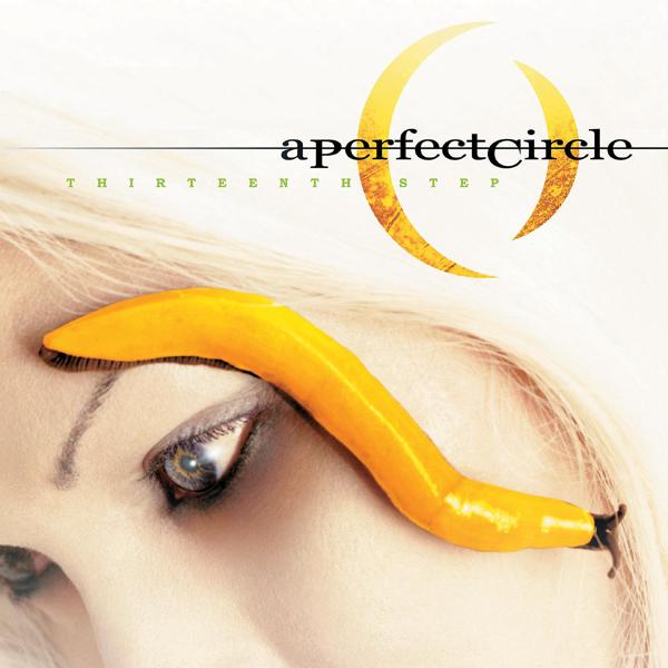 A Perfect Circle - Pet