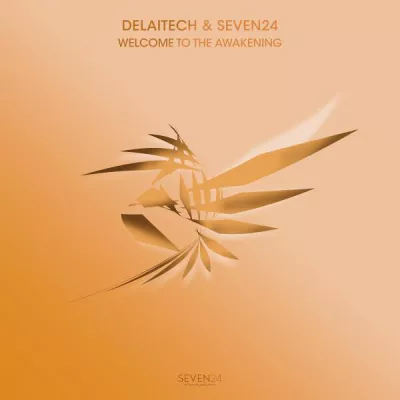 Delaitech