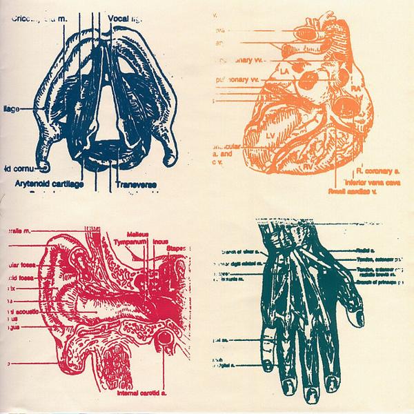 Альбом Vena Cava исполнителя Down and Above
