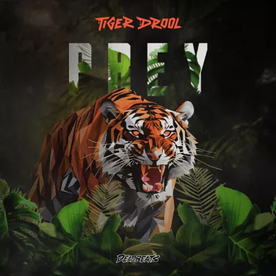 TIGER DROOL все песни в mp3