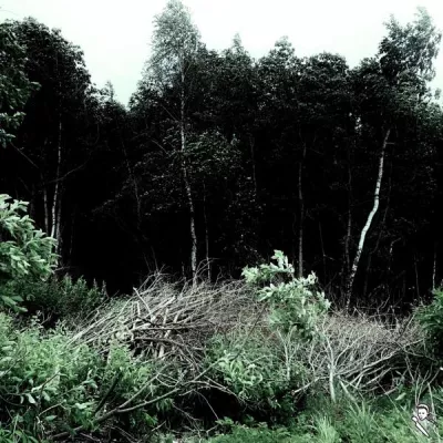 BLXXDY MURDER все песни в mp3