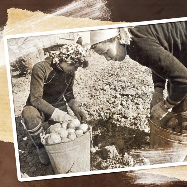 Альбом Осенний концерт. Вспоминая СССР исполнителя Various Artists