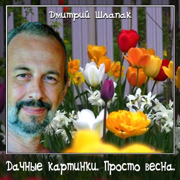 Дачные картинки. Просто весна.