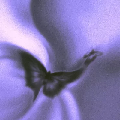 HXSTXGE