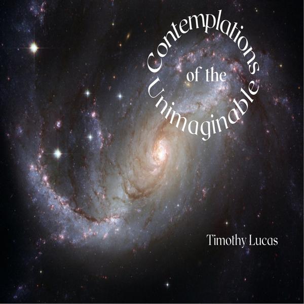 Contemplations of the Unimaginable