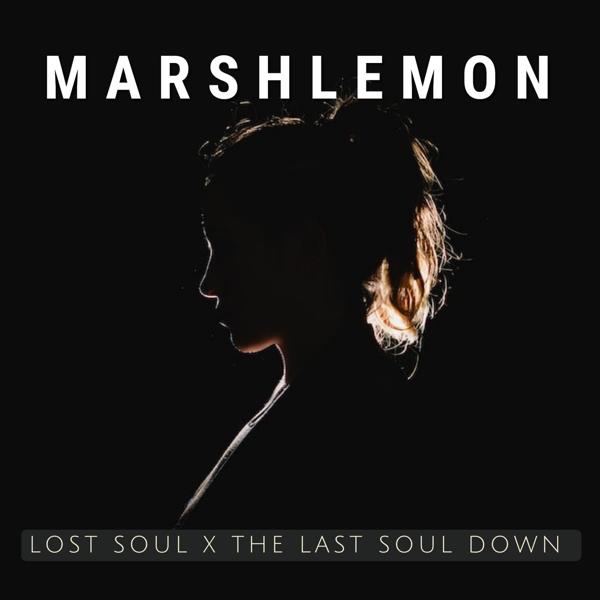 Альбом Lost Soul X The Last Soul Down исполнителя Marshlemon