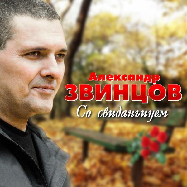 Александр Звинцов - Город мой