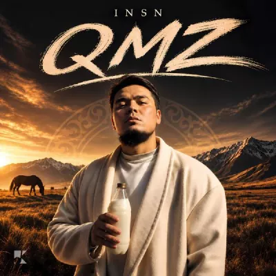 INSN