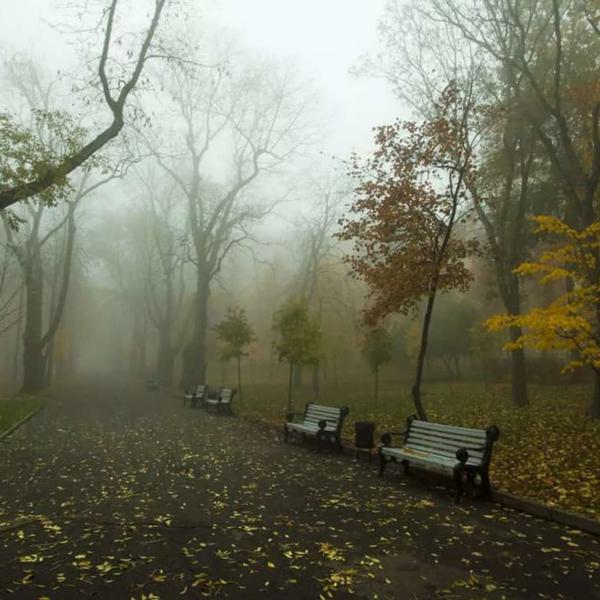 Эта осень