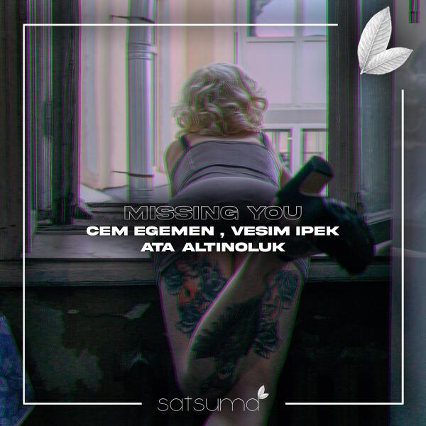 Vesim Ipek все песни в mp3