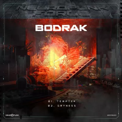 Bodrak все песни в mp3