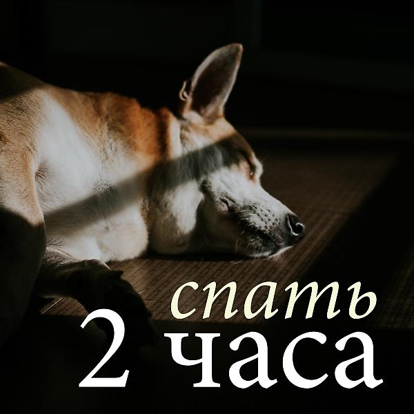 Детские сна Звезда все песни в mp3