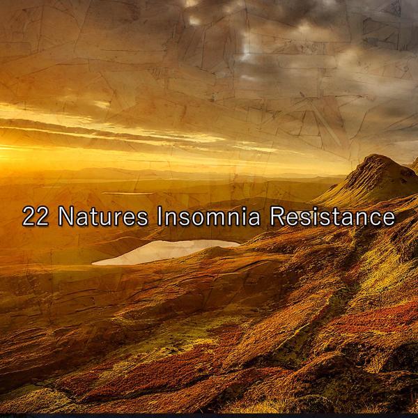 Nature Sounds Nature Music - Ascend To A Higher Being