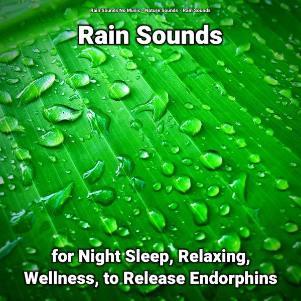 Rain Sounds No Music, Nature Sounds, Rain Sounds - Rain Sounds for Night Sleep and Relaxing Pt. 89