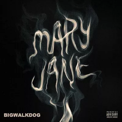 BigWalkDog