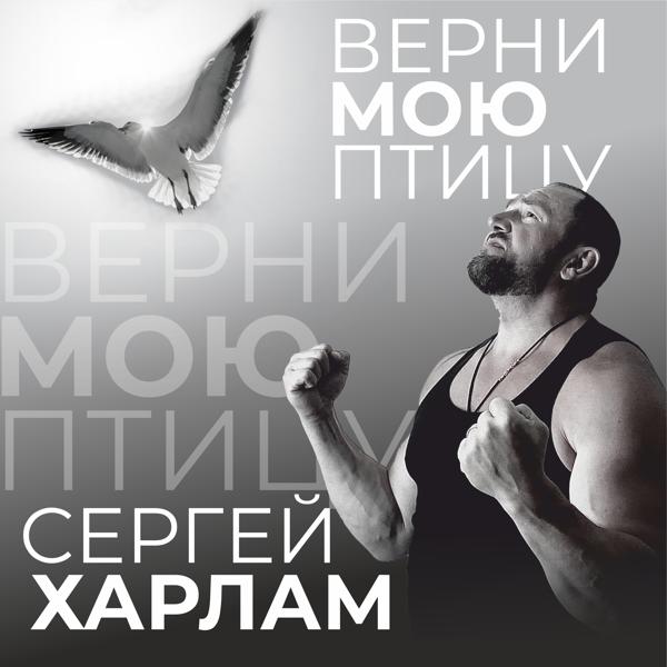 Сергей Харлам все песни в mp3