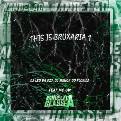 DJ MENOR DO FLORIDA