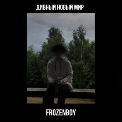 FROZENBOY