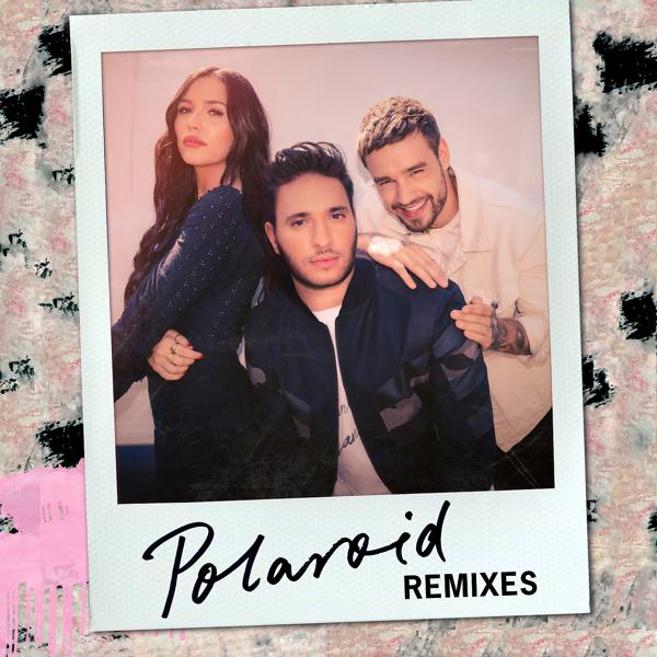 Jonas Blue, Liam Payne, Lennon Stella - Polaroid (Zac Samuel Remix)