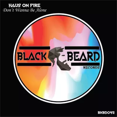 Haus On Fire все песни в mp3