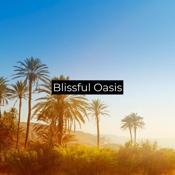 Mindfulness Meditation World все песни в mp3