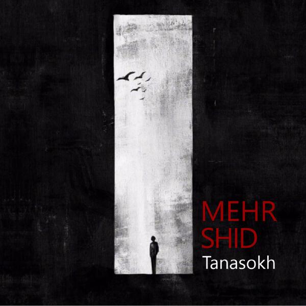 Mehrshid Habibi