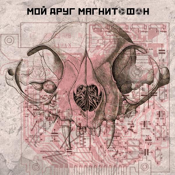 мой друг магнитофон - петля