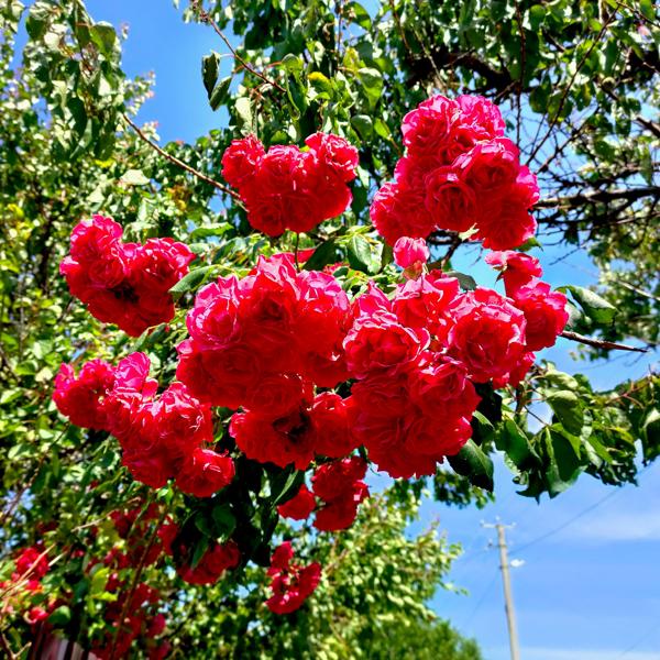 RVNAWAY все песни в mp3