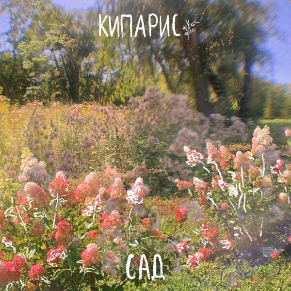 Кипарис все песни в mp3