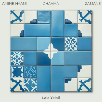 Amine Naami