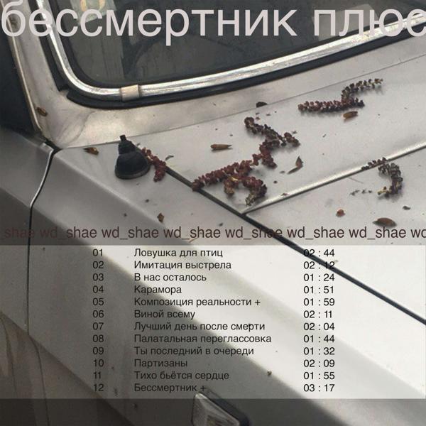 Альбом Бессмертник+ исполнителя Wd Shae