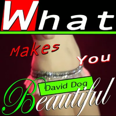 David Dog все песни в mp3