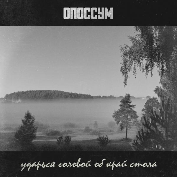 Опоссум