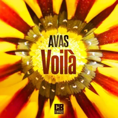 AVAS