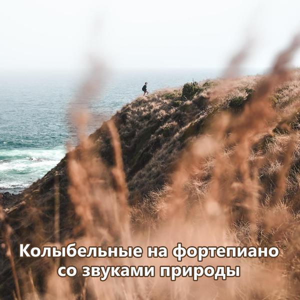 RW Песни на фортепиано со звуками природы все песни в mp3
