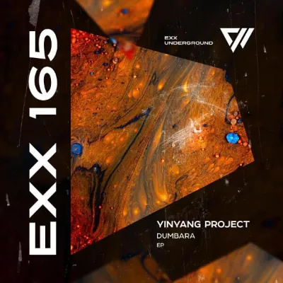 YinYang Project