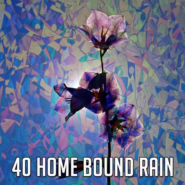 40 Дождь, связанный с домом