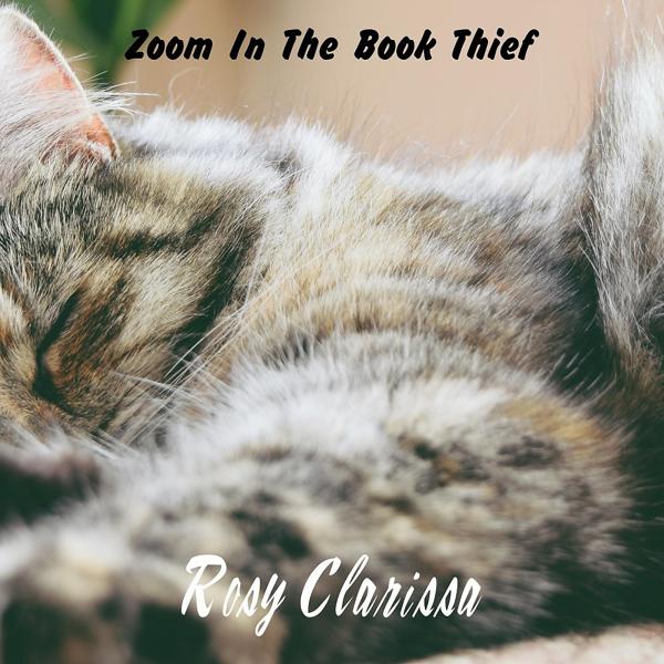 Zoom in the Book Thief